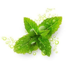 Menthol 50/50 E-liquid